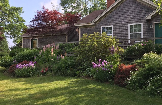 Camden "Garden Cottage" - ¡Colorido en agosto, septiembre y octubre!
