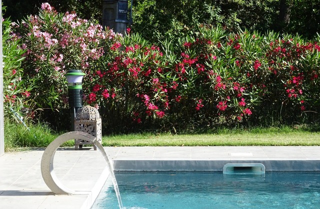 Mas auténtico en la Camarga - Jardín 10500 M2 - piscina - 14 a 16 personas