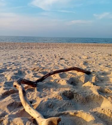 Apartament na Mierzei