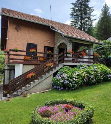 Apartman Jovanovic-Rudnik
