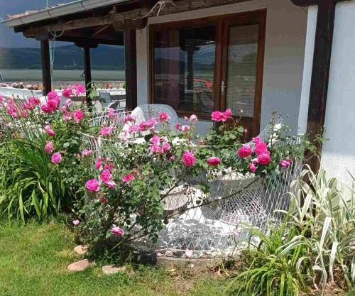 Apartmani sa pogledom na Dunav - Akademik