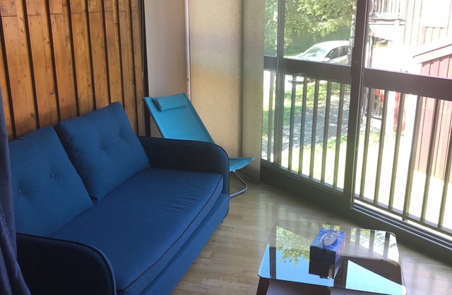 Ski resort chalet apartment