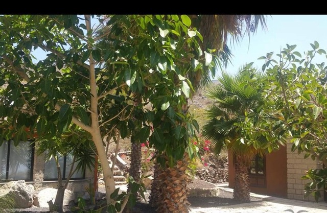 Apartamento Finca View en La Gomera al suroeste de Tenerife