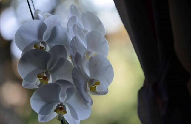 Apartment House Koprivnik - Apartment 2