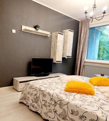 Apartment in Dainava self check in