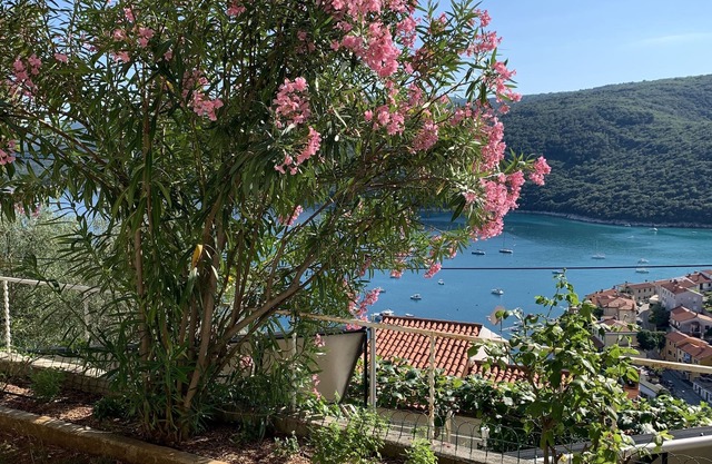 Apartamento en Rabac (Labin), Iris, capacidad 4 + 1