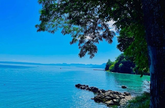 Apartment on the most beautiful beach of Lake Geneva