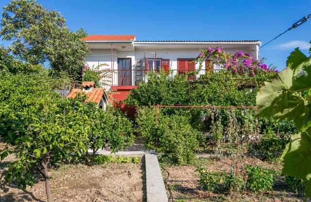 Apartment Seget Vranjica 1038b