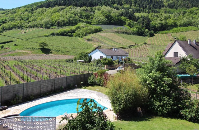 APARTAMENTO CON UNA VISTA INCREÍBLE EN EL VIÑEDO ALSACIAN