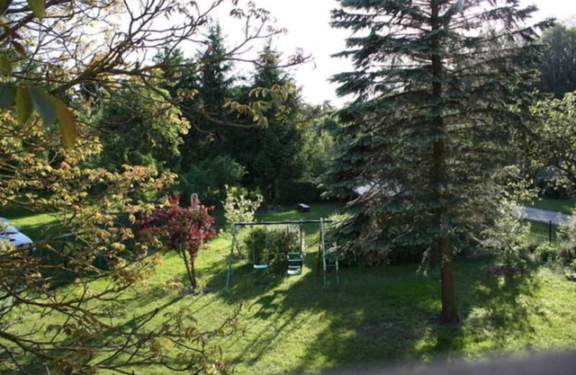 Apartamento Waldblick (24899) - Apartamento Waldblick