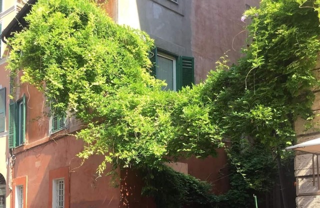 LivinginRome vicolo del piede trastevere