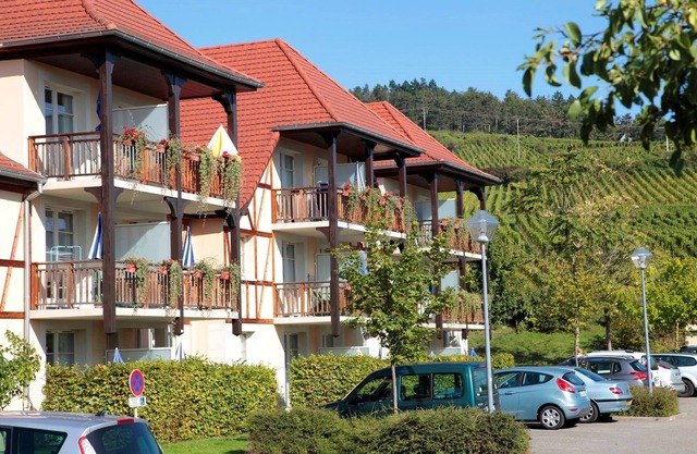 Accès Piscine Chauffée | Appart Cosy Le Long de la Route des Vins