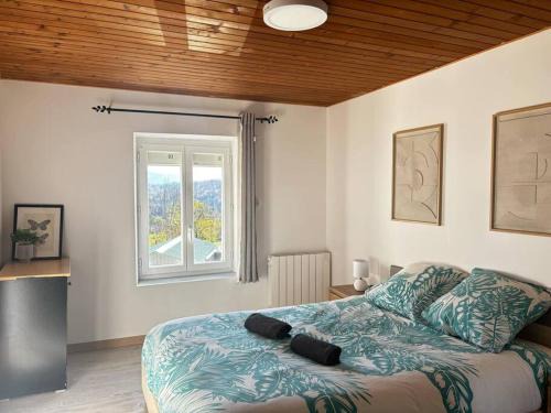 Appart cosy vue montagne, nature & ski à proximité