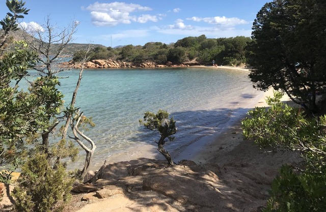 Appartamento a Pochi Passi dal Mare con Patio e Giardino Privato