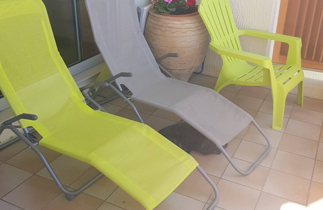 Appartement Face mer