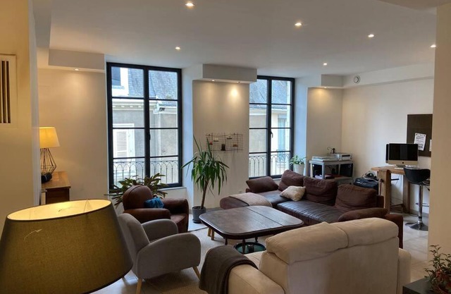 Appartement loft hyper centre