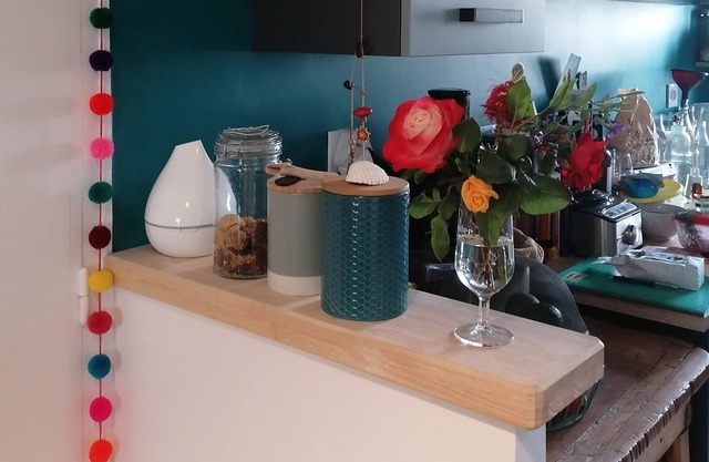 Appartement Refait à Neuf, Lumineux, Traversant, Spacieux et Climatisé Climatisé