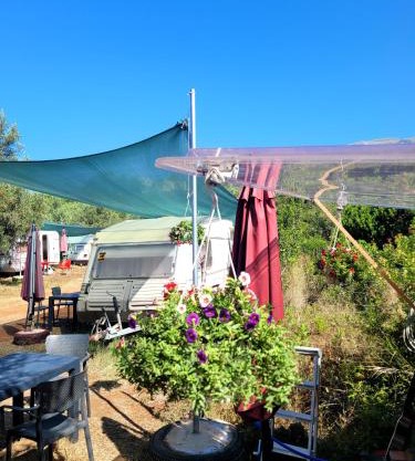 Aquariumi Jale Camping