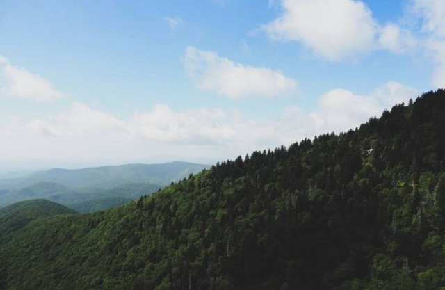 ASHEVILLE! Great Smoky Mountains-Aaah Fresh Air! 1