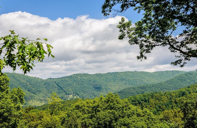 Asheville Lodge-Sleeps 11-21