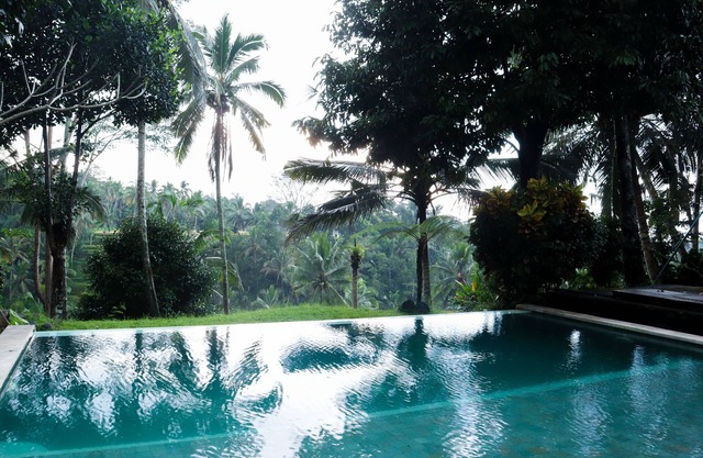 Aventus Resort Ubud