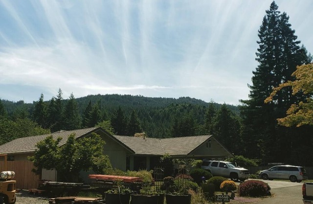 Avenida de los Gigantes Burl Bungalow