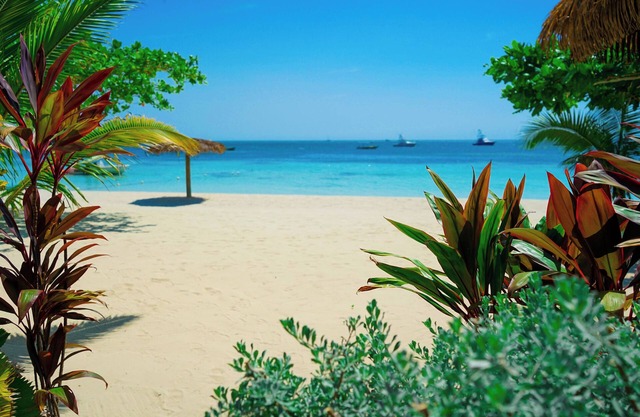 Ayurveda Resort Negril Jamaica
