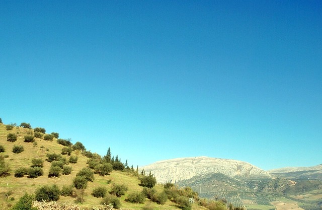 B&B Apartamento cerca Caminito del Rey