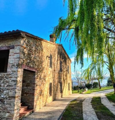B&B Nel Vigneto