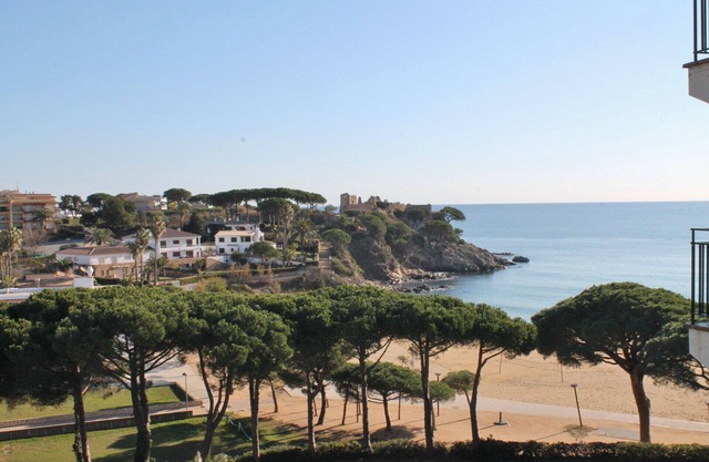 B3.6 - ESTUDIO 1ª LINEA DE MAR - LA FOSCA - WIFI - PARKING