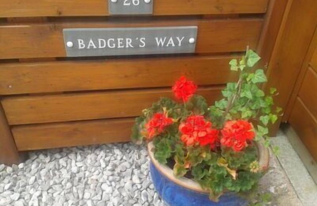 Badger's Way - En el corazón del distrito de los lagos ingleses - Badger Watching Here