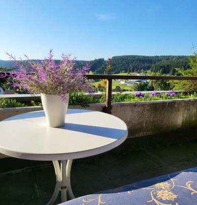 Balcony-Apartment next to the forest