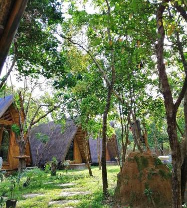 Balili Farm At Nacpan Free Motorbike Free Drop Off Free Pick up to town