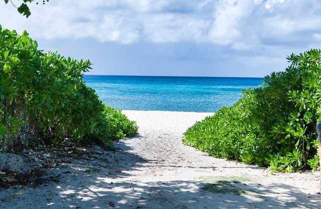 Beach Bliss by 7M Beach