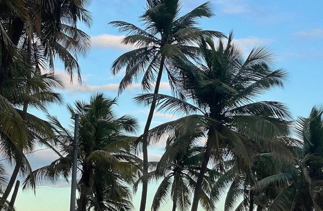 Beach front condo with amazing ocean view & beach access. Walk to plaza