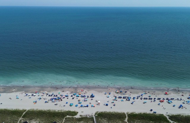 Beach Love large1BR Suite, NEW POOL MAY 2024, pets ok, walk to beach, Parking