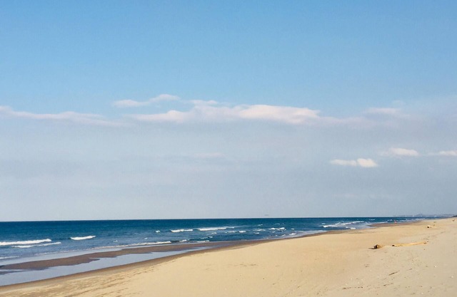 Playa Vibes en Papamoa