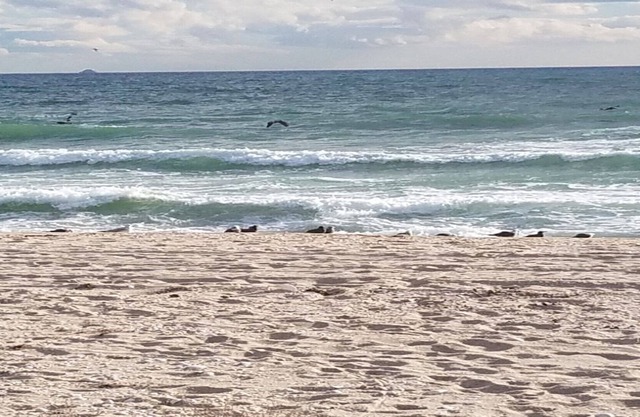 FRENTE AL MAR 3 BDRM 3 BAÑOS ADOSADO. EN CAMAS-8 +. ACTUALIZADO. TARIFAS ESPECIALES LLAME A KIM