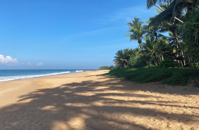 Beachfront Family Getaway – Relax and Enjoy Safe, Fun-filled Days by the Sea