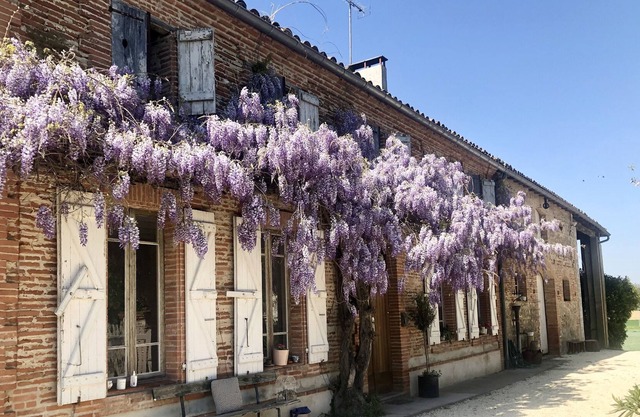 Beautiful 6 Bedroom Farm House in Castelferrus