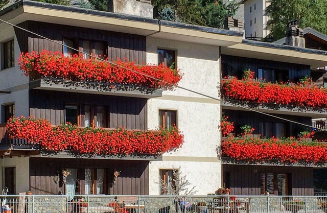 Acogedor apartamento para 4 personas con WIFI, TV, terraza, mascotas permitida y aparcamiento