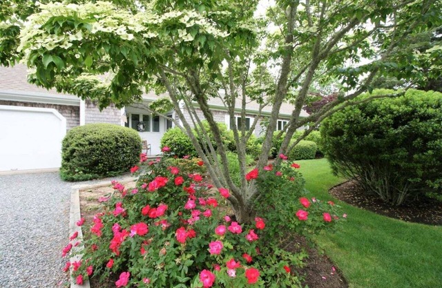 Beautiful Cape Cod Summer Home | 3 Bed, 2.5 Bath