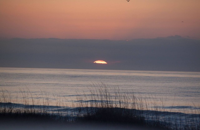 Hermosas vistas de la playa de Ocean Isle; Excelentes amaneceres en el condominio Windjammer