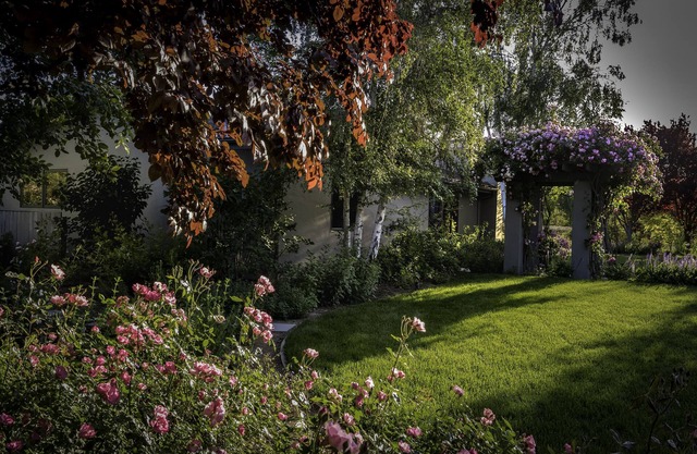 Hermosa Rose Cottage en Wine Country-Media semana especial !!!!!