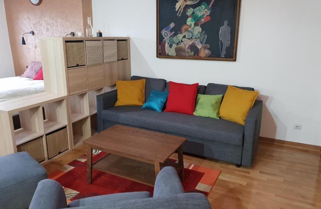 Belgrade Center Apartment V