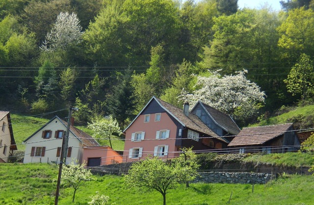 Belle Vue y Bon Air