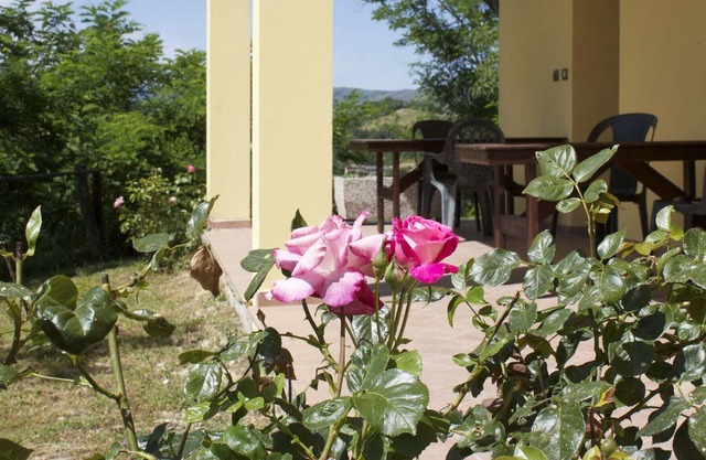 Apartamento Moderno en Casalfiumanese cerca del Bosque