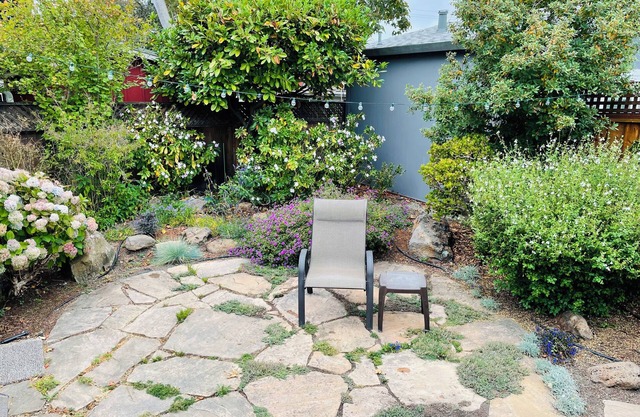 Berkeley / Albany 2 BR Inicio. Perfecto para parejas, familias, nuevos abuelos!