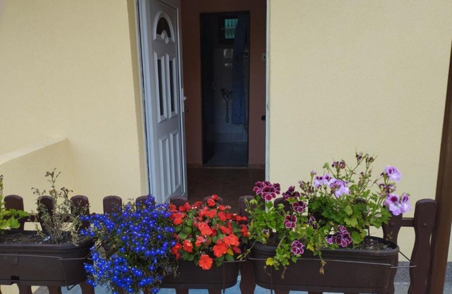 Biljana's guest house