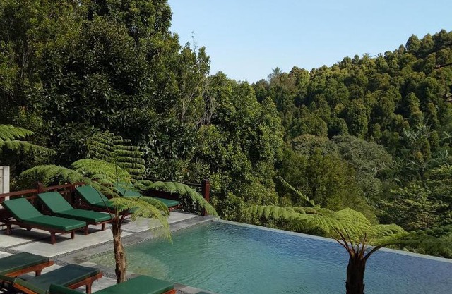 BINTANG MUNDUK